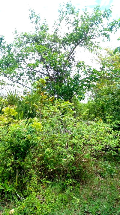 2 Acres Precious Plot on Sale at Corner Chale After Kinondo. - Image 5