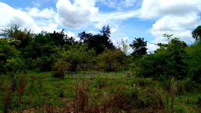 2 Acres Precious Plot on Sale at Corner Chale After Kinondo. - Image 8