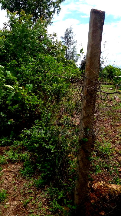 2 Acres Precious Plot on Sale at Corner Chale After Kinondo. - Image 9