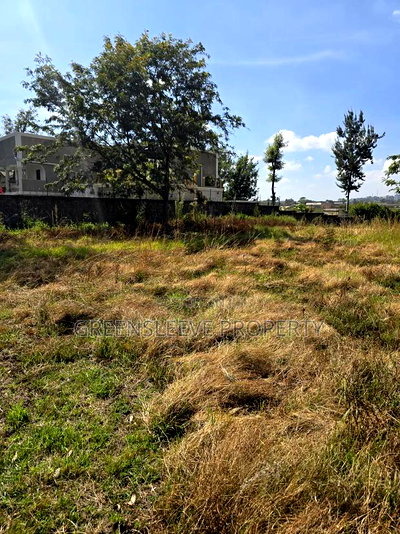 Land for Sale - Image 2