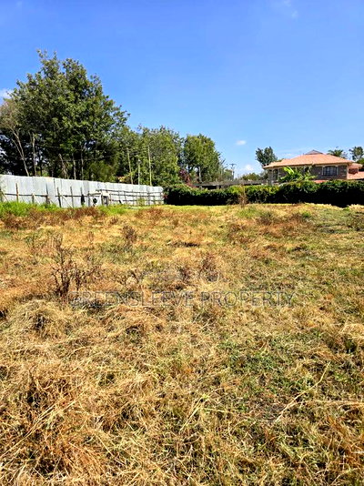 Land for Sale - Image 3