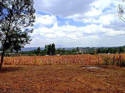 Residential Plot For Sale In Kamangu, Kikuyu. - Image 4