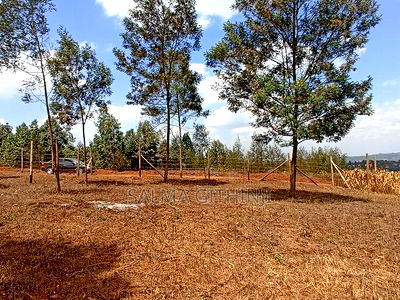 Residential Plot For Sale In Kamangu, Kikuyu. - Image 9
