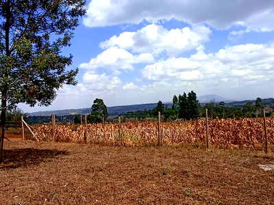 Residential Plot For Sale In Kamangu, Kikuyu. - Image 5