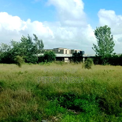 1/2 an Acre in Korompoi Kitengela - Image 4