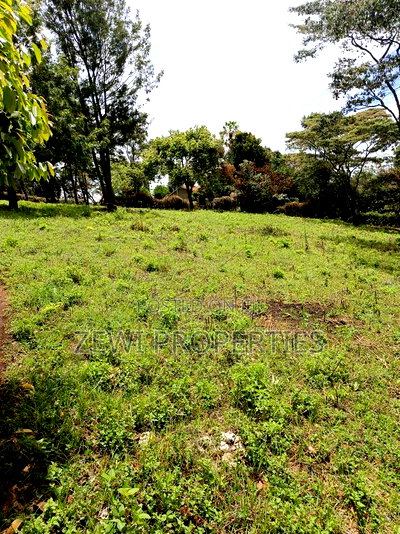 Quarter Acre Matasia - Image 5