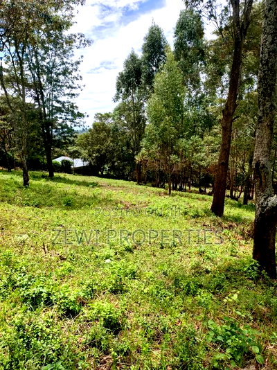 Quarter Acre Matasia - Image 4