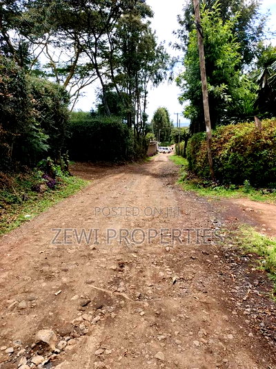 Quarter Acre Matasia - Image 3