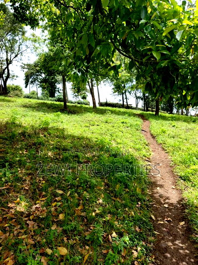 Quarter Acre Matasia - Image 2
