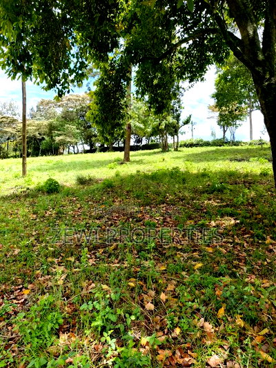 Quarter Acre Matasia - Image 1