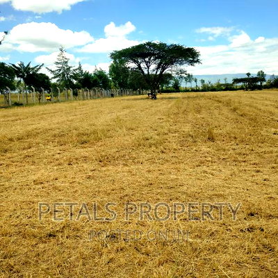 3 Acres for Sale Tumaini Kabarak - Image 3