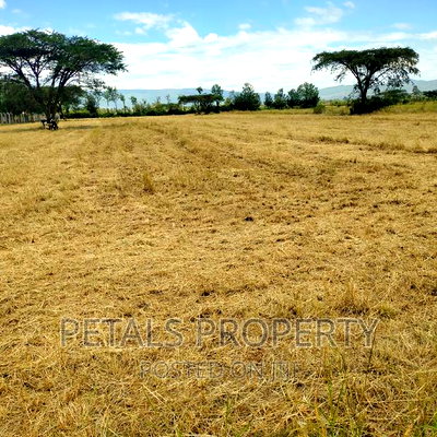 3 Acres for Sale Tumaini Kabarak - Image 1