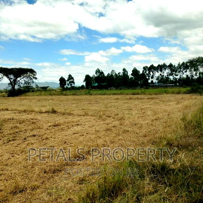 3 Acres for Sale Tumaini Kabarak - Image 2