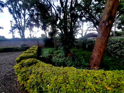 4bdrm Mansion in Karen Hardly for rent - Image 19