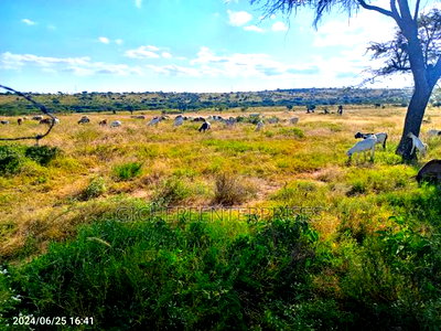 Kajiado Central - Image 1