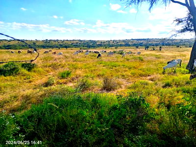 Kajiado Central - Image 3