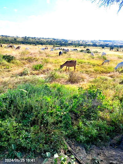 Kajiado Central - Image 2