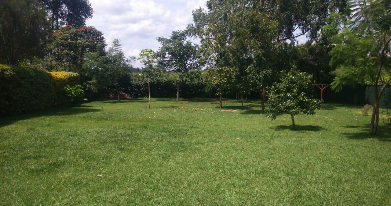 Half-Acre 4BR Townhouse with Private Garden - Runda Mumwe