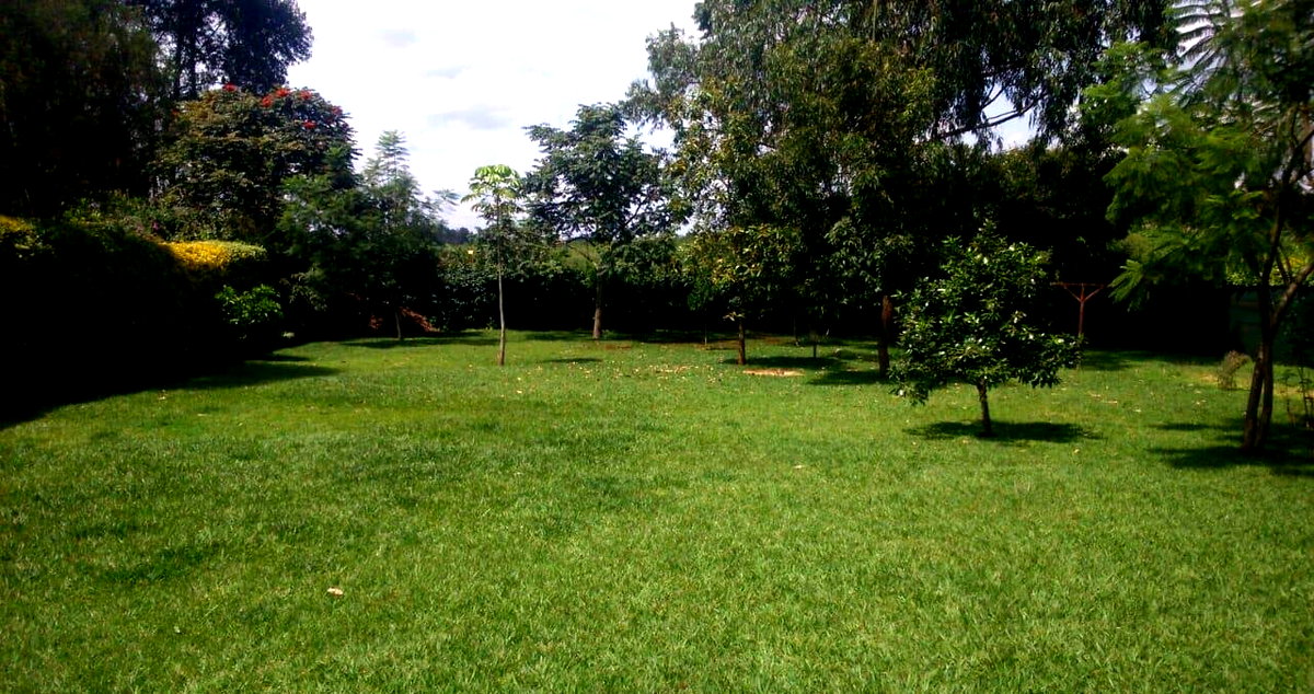 Half-Acre 4BR Townhouse with Private Garden - Runda Mumwe