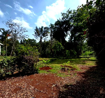 3/4 Acre Redevelopment Plot in Kyuna