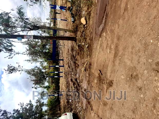 Plots for Immediate Development in Kamakis