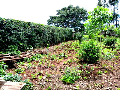 Prime on Sale, Kamiti Ridge Estate - Image 6