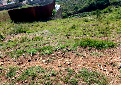 40x80 Plot with Garden at KSh 4M