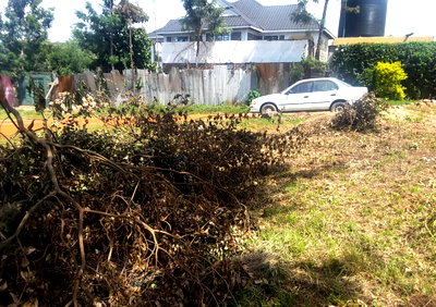1/8 Acre Serviced Plot at KSh 3.5M