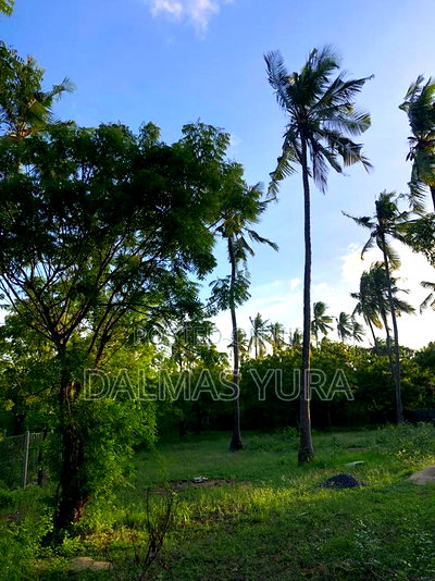 1650mtsq of Land in Watamu - Image 4