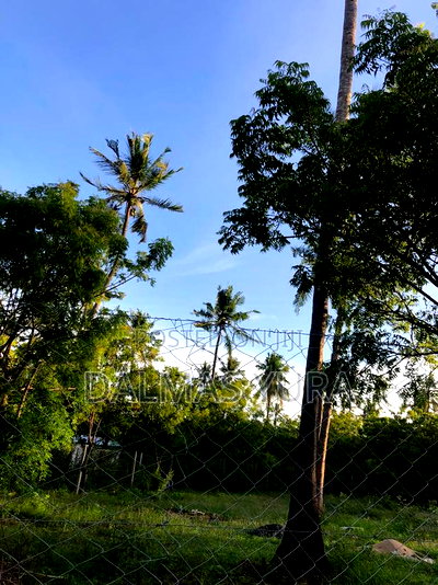 1650mtsq of Land in Watamu - Image 2