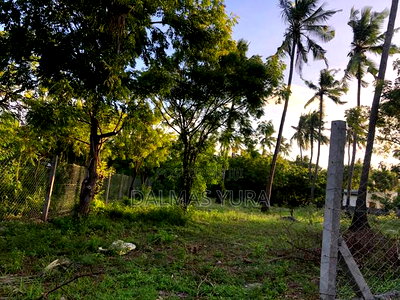 1650mtsq of Land in Watamu - Image 6