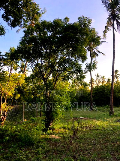 1650mtsq of Land in Watamu - Image 5