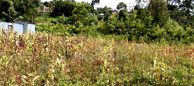 Plots for Sale in Ngong Matasia Barabara Mpya - Image 4