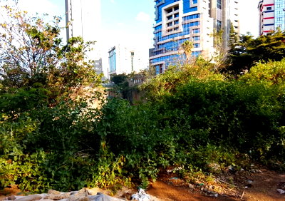 KSh 410M Garden Plot in Upperhill