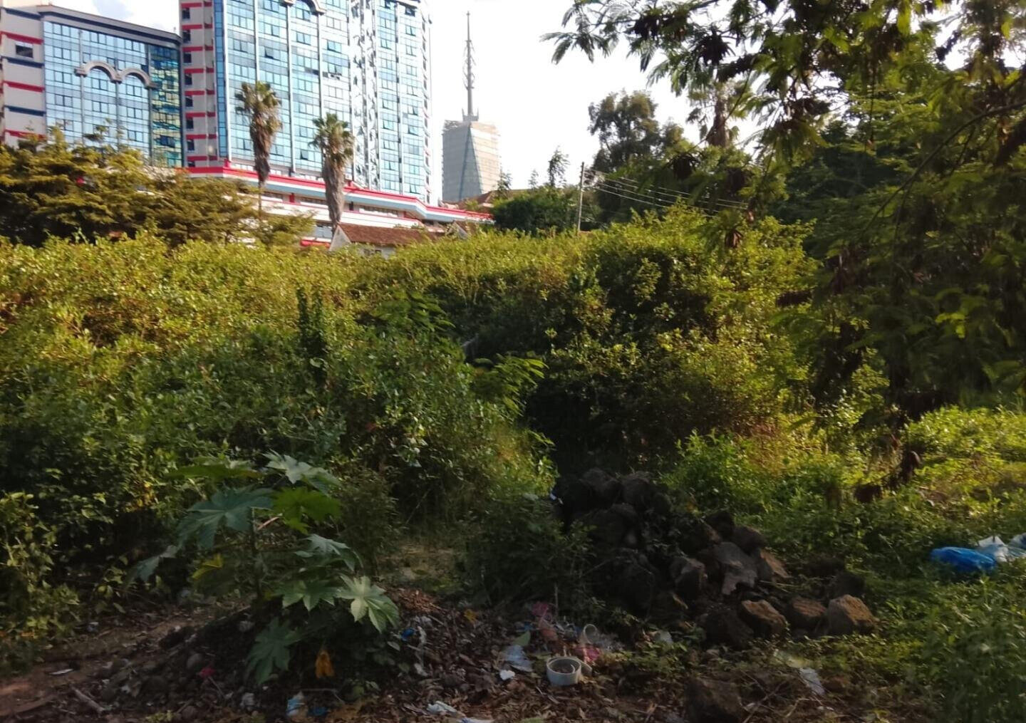 KSh 410M Garden Plot in Upperhill