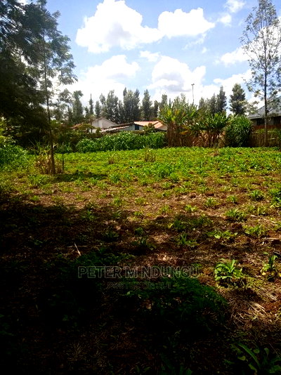 Mugumo 1/4 Acre,Kamiti Road - Image 3