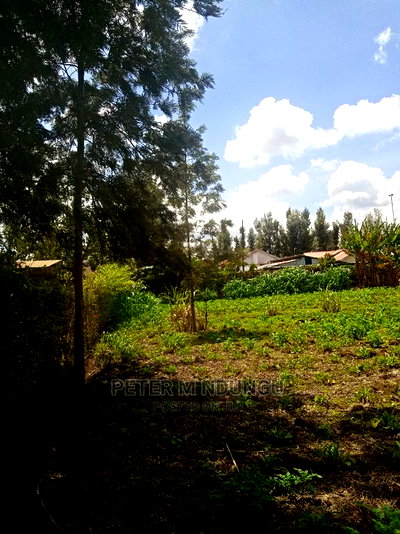 Mugumo 1/4 Acre,Kamiti Road - Image 7