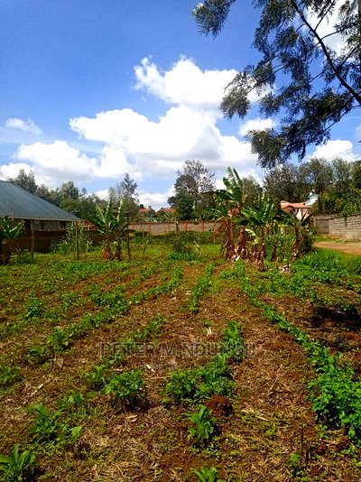 Mugumo 1/4 Acre,Kamiti Road - Image 1