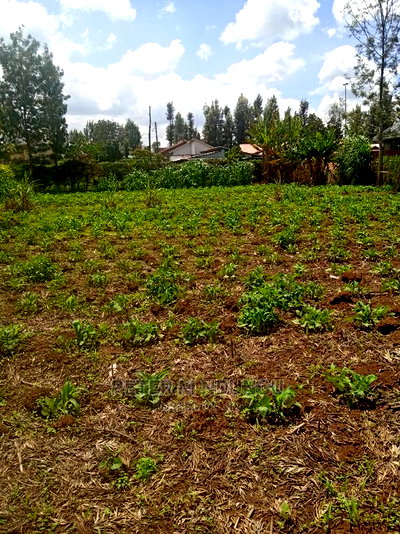 Mugumo 1/4 Acre,Kamiti Road - Image 4
