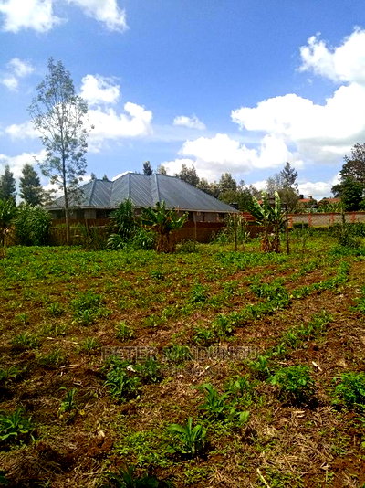 Mugumo 1/4 Acre,Kamiti Road - Image 2
