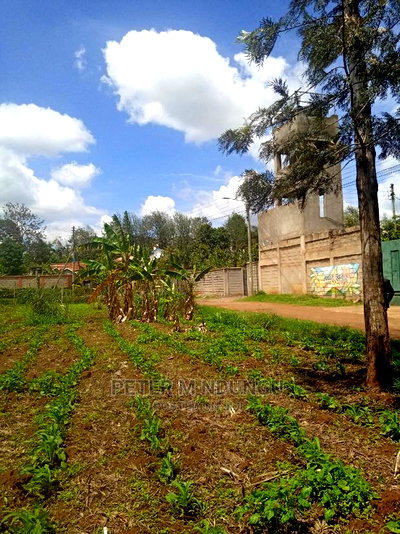 Mugumo 1/4 Acre,Kamiti Road - Image 5