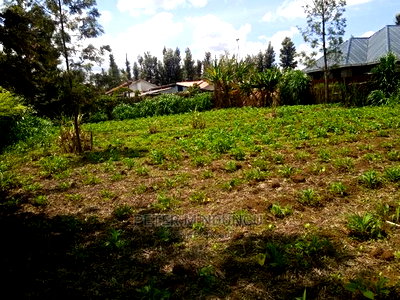 Mugumo 1/4 Acre,Kamiti Road - Image 6