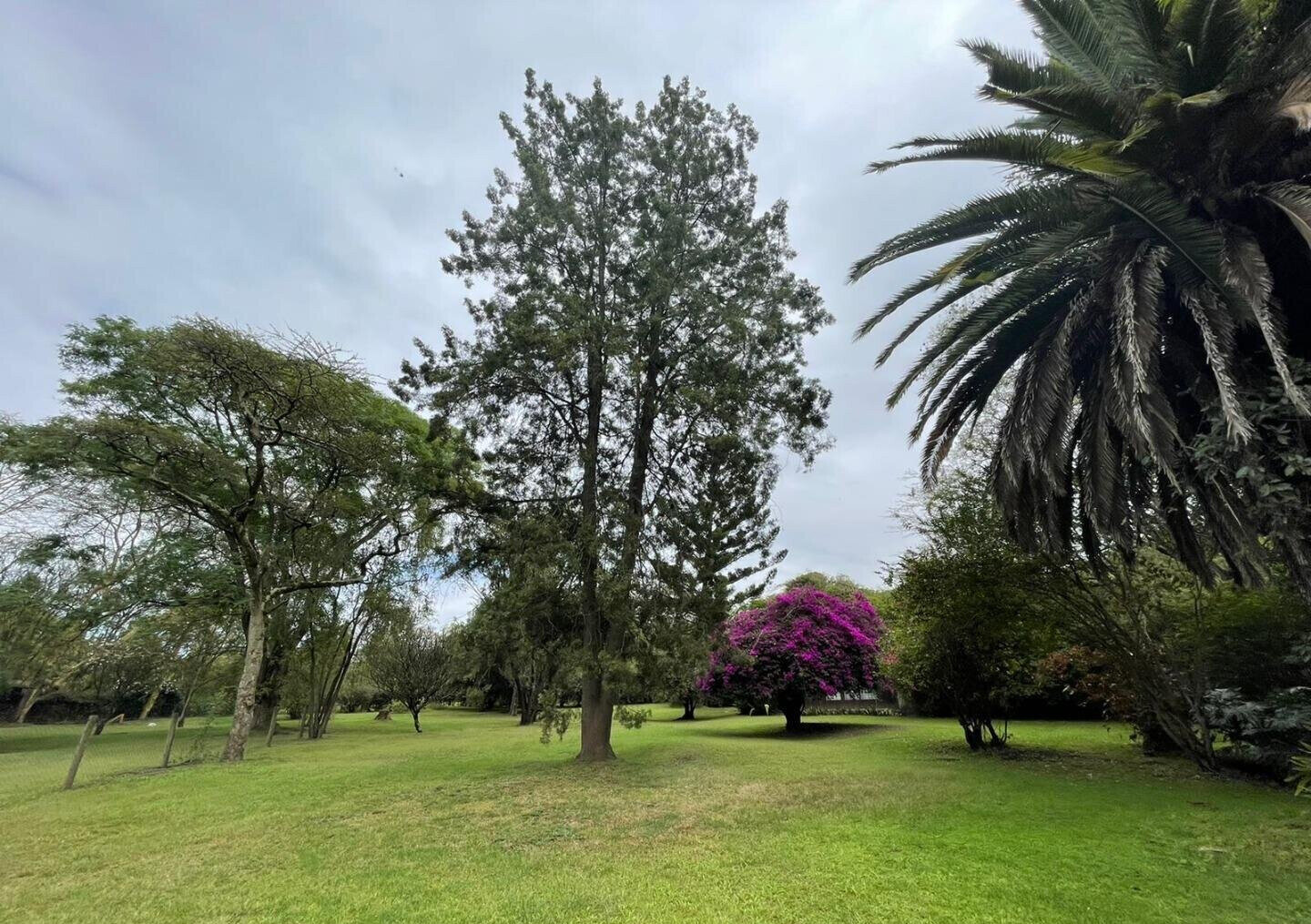 20-Acre Commercial Gem in Nakuru East