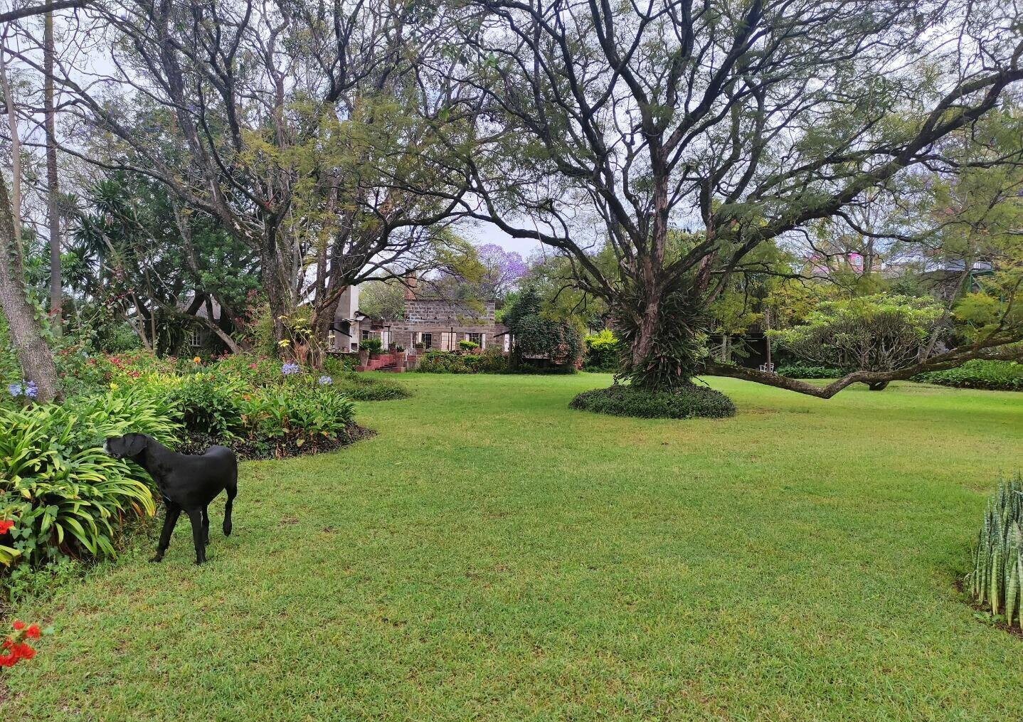 20-Acre Commercial Gem in Nakuru East