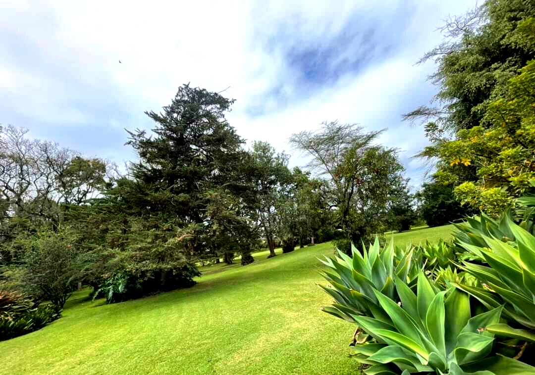 20-Acre Commercial Gem in Nakuru East