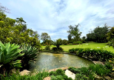 20-Acre Commercial Gem in Nakuru East