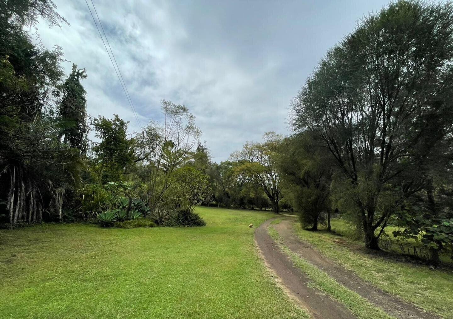 20-Acre Commercial Gem in Nakuru East