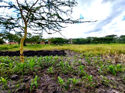 Commercial Land for Sale in South B - Image 3