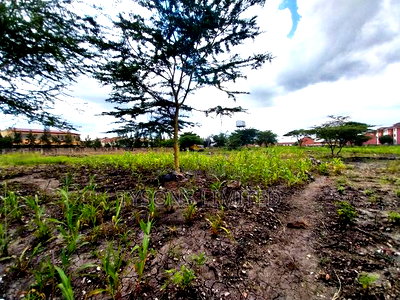 Commercial Land for Sale in South B - Image 2