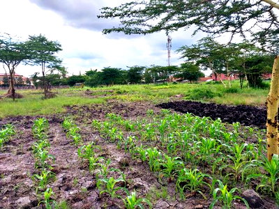 Commercial Land for Sale in South B - Image 1